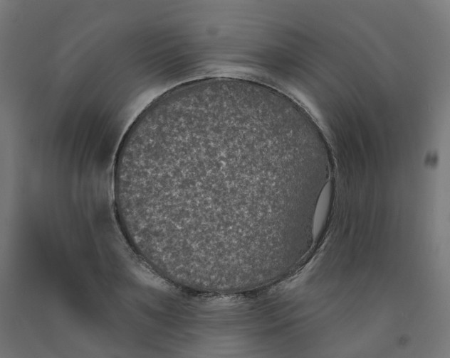 X0000091890891200710031800