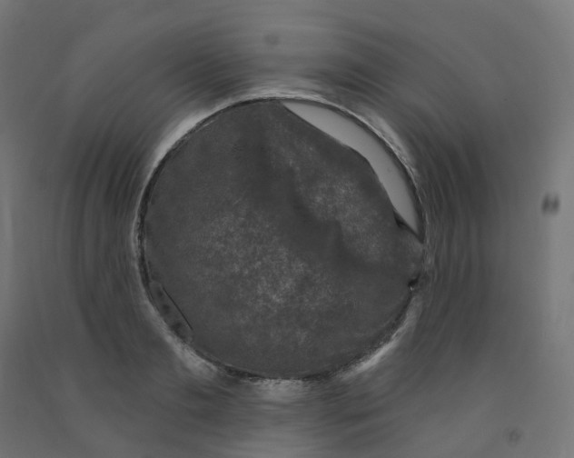 X0000091890893200710031800