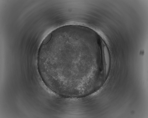 X0000091890896200710031800