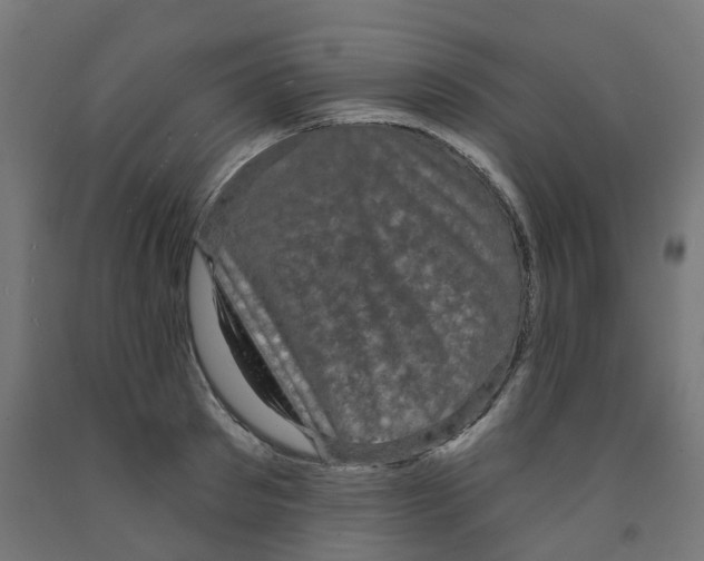 X0000091890897200710031800