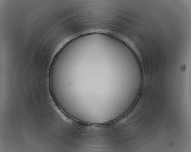 X0000091890898200710031800