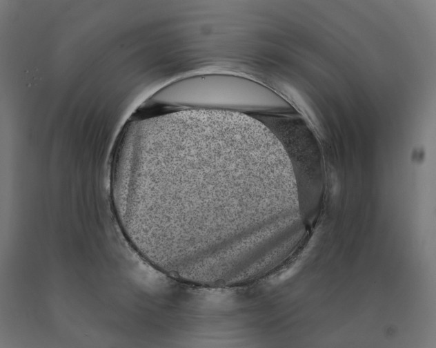 X0000091890900200710031800
