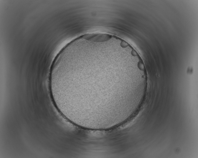 X0000091890901200710031800