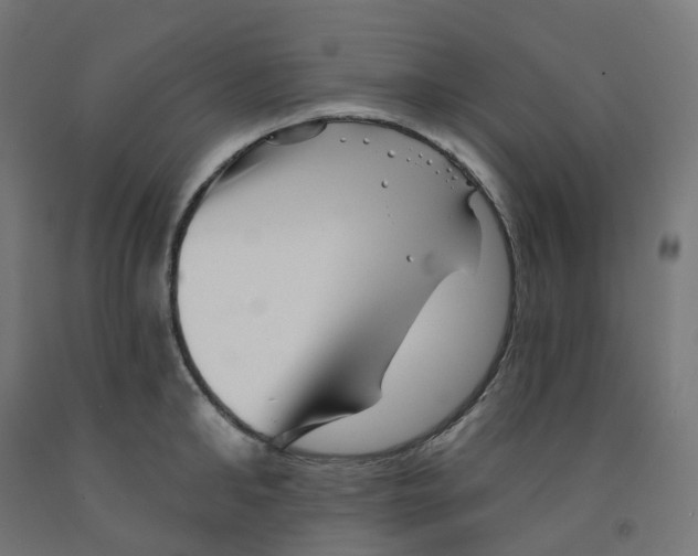 X0000091890902200710031800