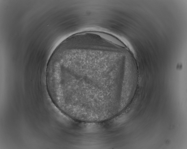 X0000091890903200710031800