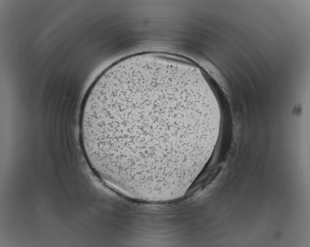 X0000091890904200710031759