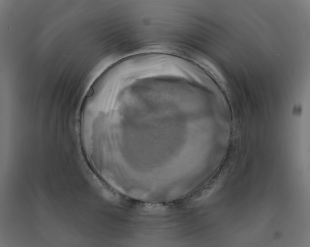 X0000091890907200710031759