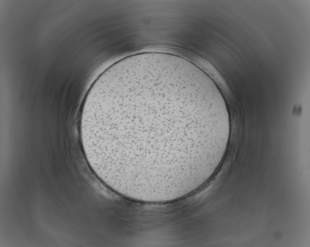X0000091890908200710031759