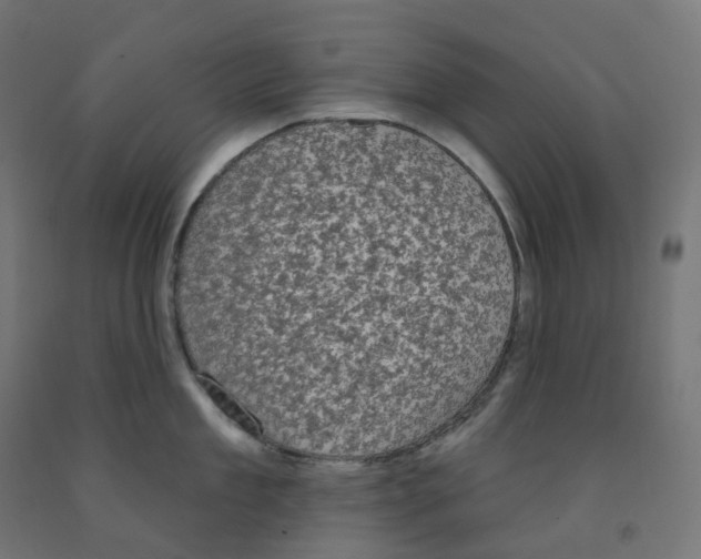 X0000091890909200710031759