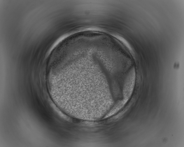 X0000091890910200710031759