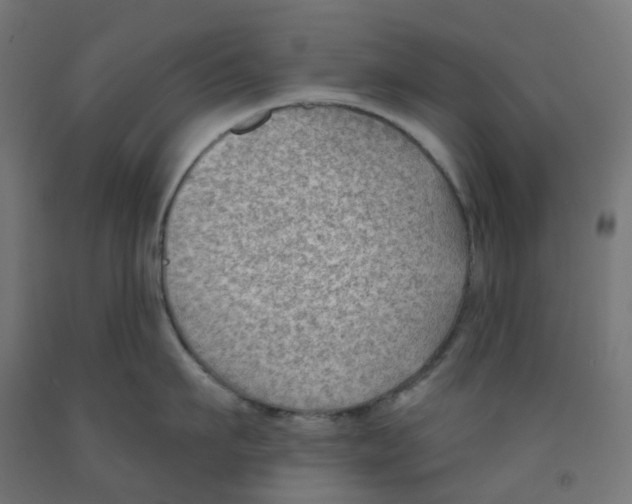 X0000091890911200710031759