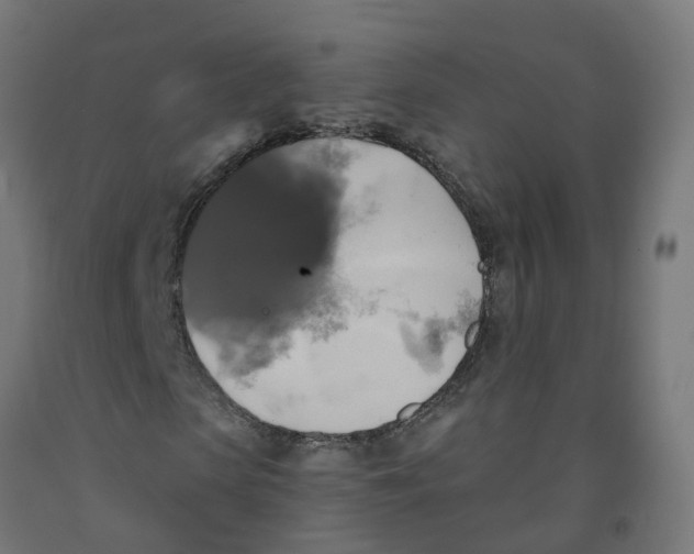 X0000091890913200710031759