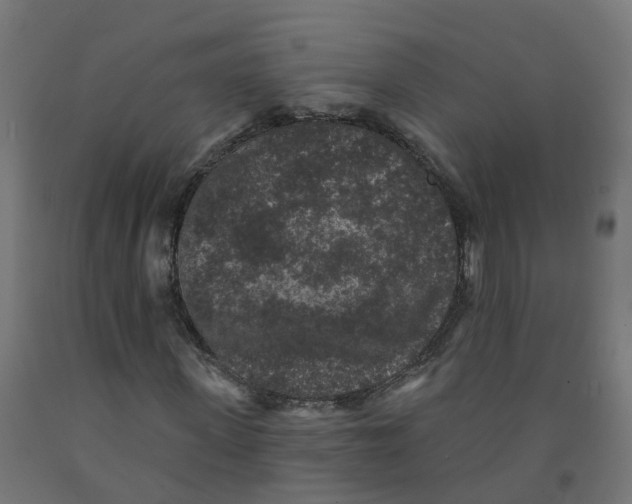 X0000091890915200710031759