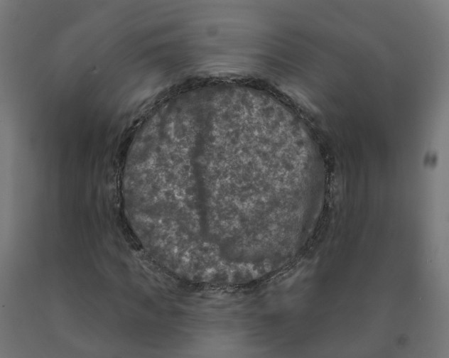 X0000091890917200710031759