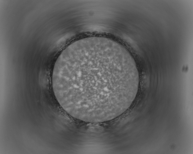 X0000091890918200710031759