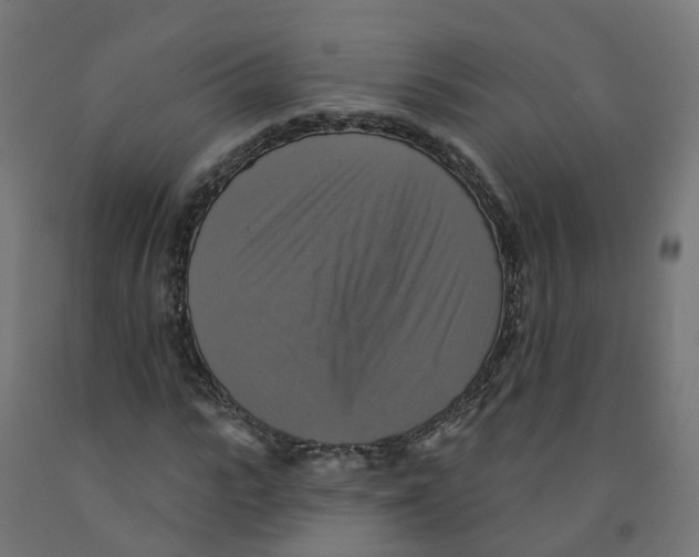 X0000091890919200710031759