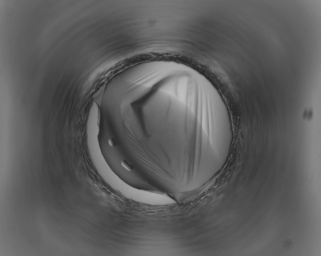 X0000091890920200710031759