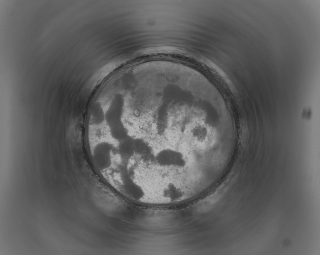 X0000091890921200710031759