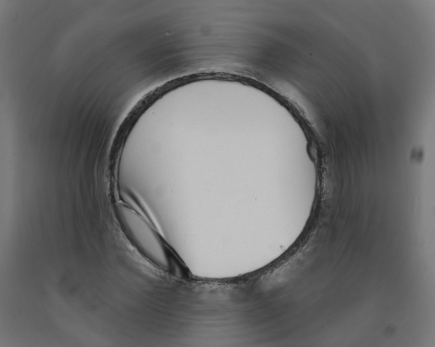 X0000091890924200710031759