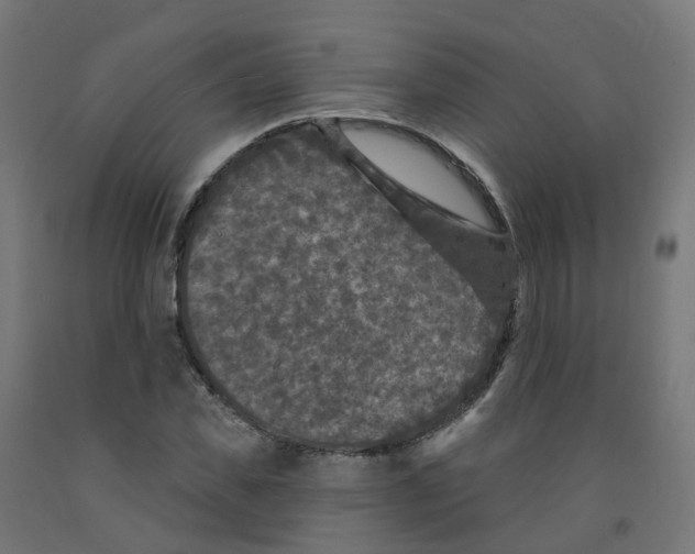 X0000091890925200710031759