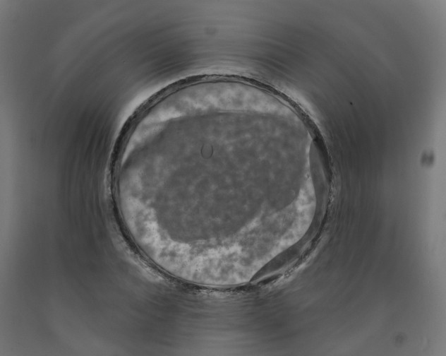X0000091890928200710031759