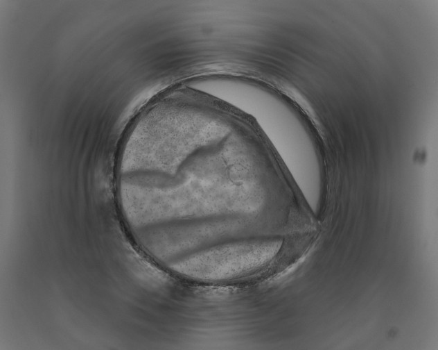 X0000091890930200710031759