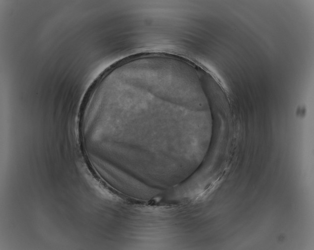 X0000091890932200710031759