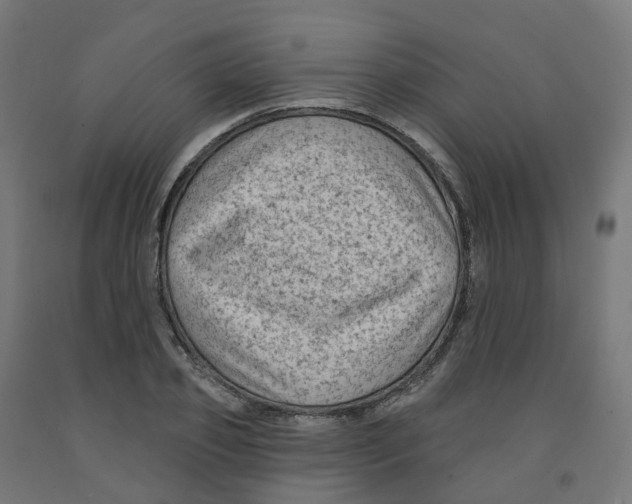X0000091890933200710031759