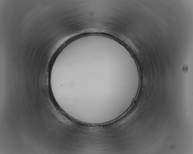 X0000091890934200710031759