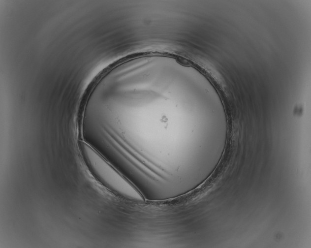 X0000091890936200710031759