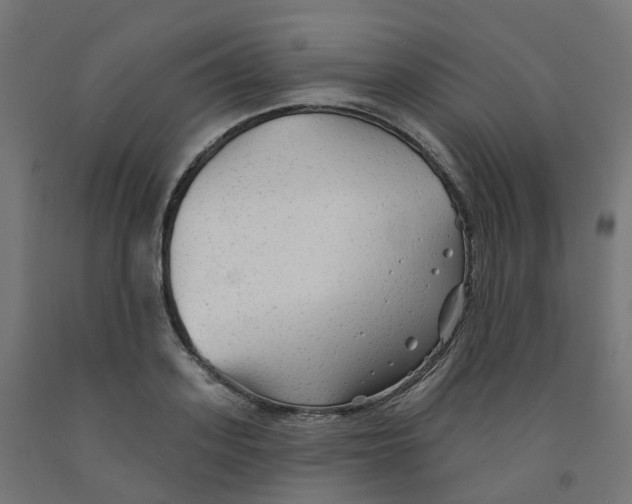 X0000091890939200710031759