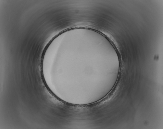 X0000091890941200710031759