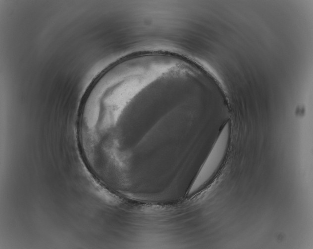 X0000091890943200710031759