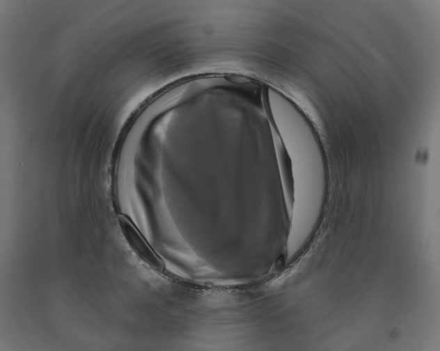 X0000091890944200710031759