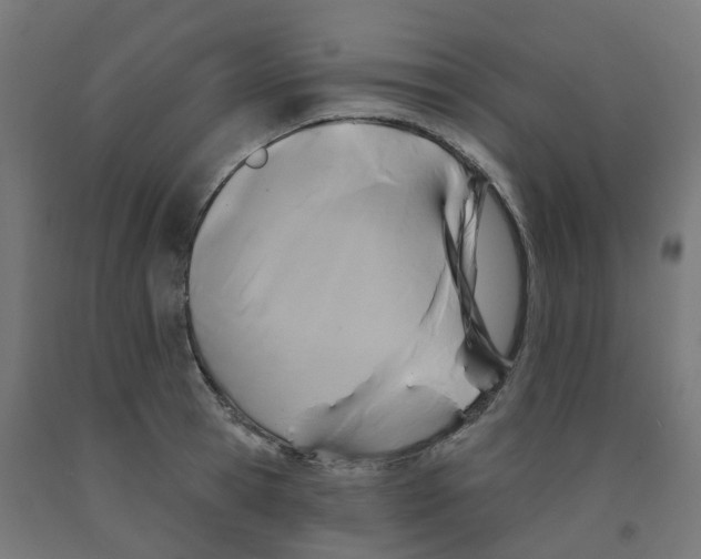 X0000091890945200710031759