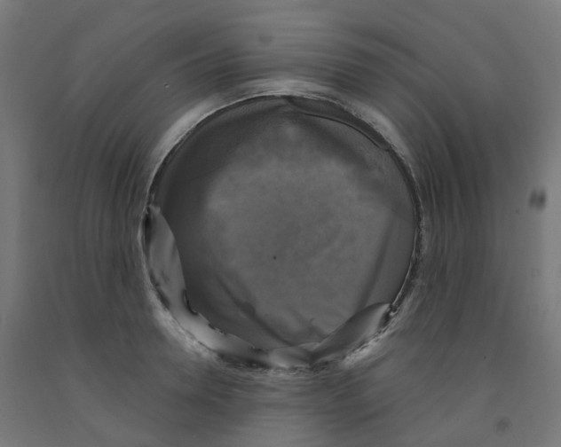 X0000091890946200710031759