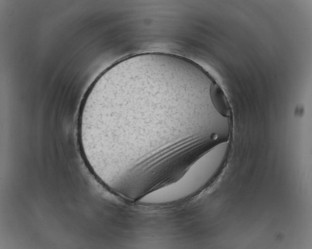 X0000091890949200710031759