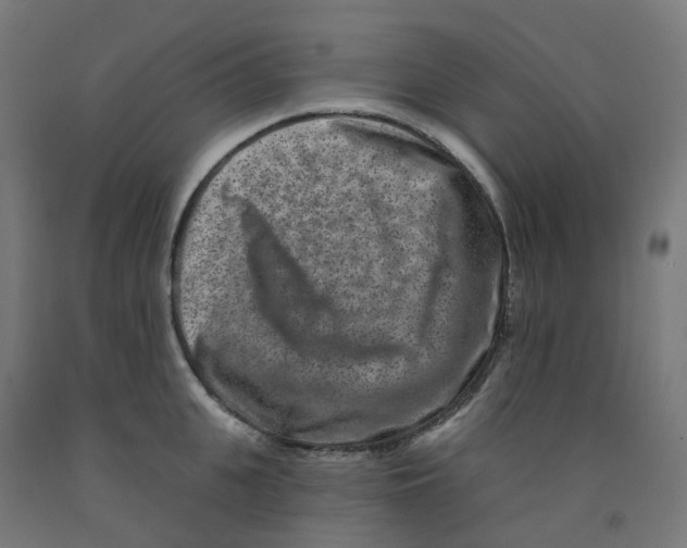 X0000091890951200710031759