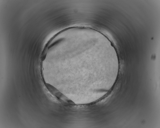 X0000091890952200710031759