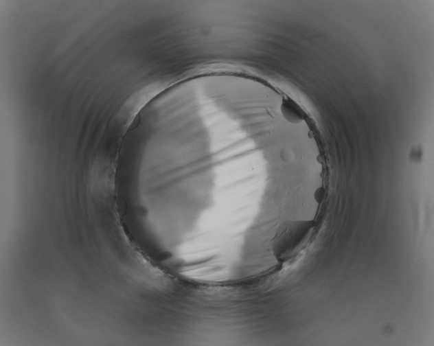 X0000091890953200710031759