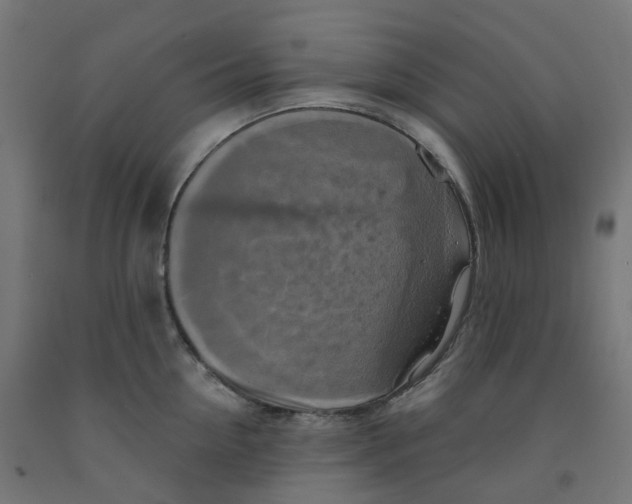 X0000091890954200710031759