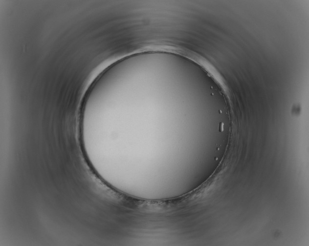 X0000091890955200710031759