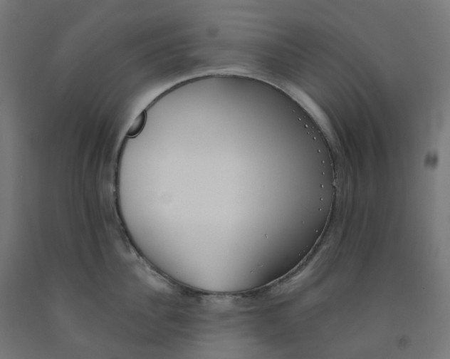 X0000091890956200710031759