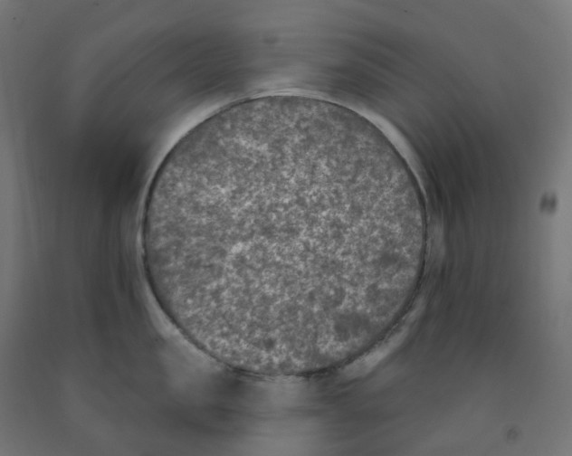 X0000091890957200710031759
