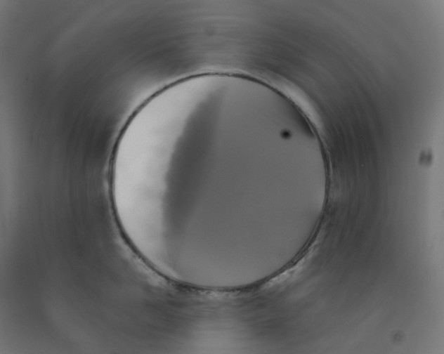 X0000091890958200710031759