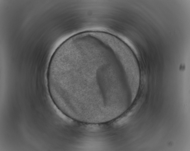 X0000091890959200710031759