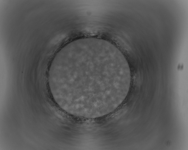 X0000091890961200710031759