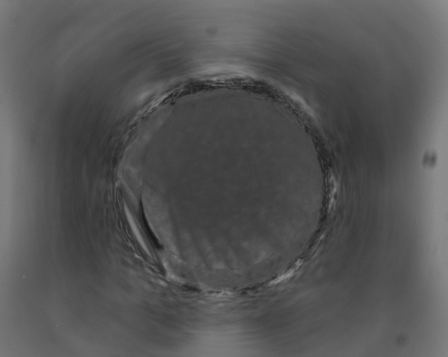 X0000091890965200710031759