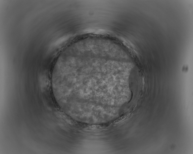 X0000091890966200710031759