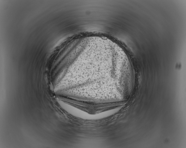 X0000091890968200710031759